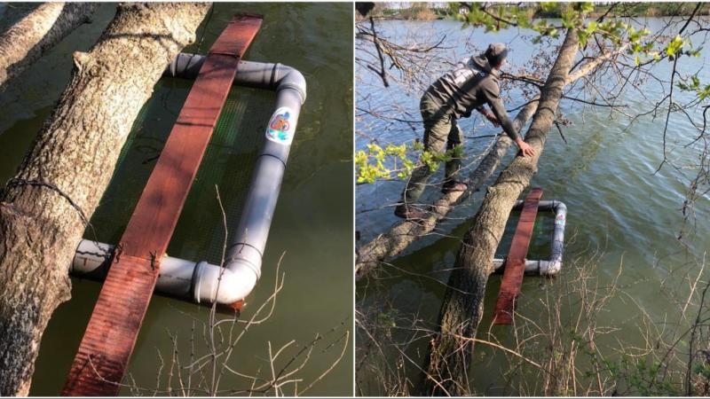 Szolnok környékén a természetvédők aktívan harcolnak az invazív állatfajok ellen, hogy megóvják az őshonos élővilágot. Csapdákat állítanak fel, amelyek célja, hogy minimalizálják a nem kívánt fajok elterjedését, ezzel biztosítva a helyi ökoszisztéma egyen