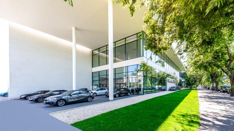 Rekordszámú bevételt könyvelhetett el az AutoWallis, ám a profit drámai csökkenésével kell szembenéznie.