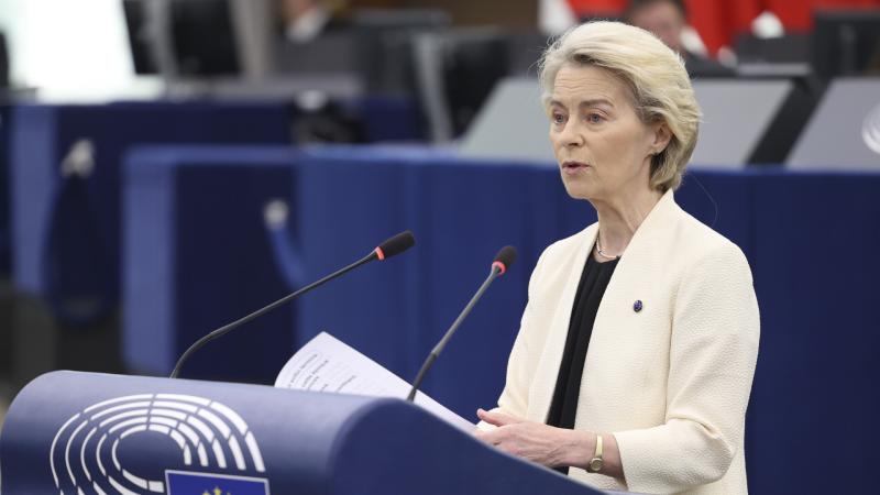 Ursula von der Leyen mintha egy politikai akasztófára került volna, ahol a döntései és lépései szorosan összefonódtak a hatalom játszmáival.