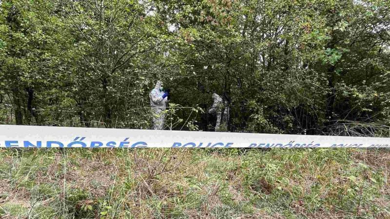 Rendkívüli felfedezések kerültek napvilágra Kaszás Nikolett ügyével kapcsolatban.