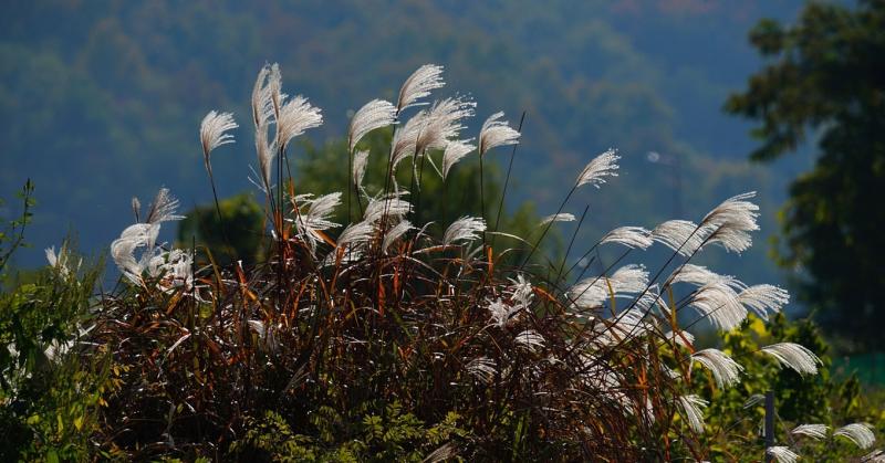 Nem ezt vártuk: egy váratlan front zavarja meg a hét időjárási előrejelzését.