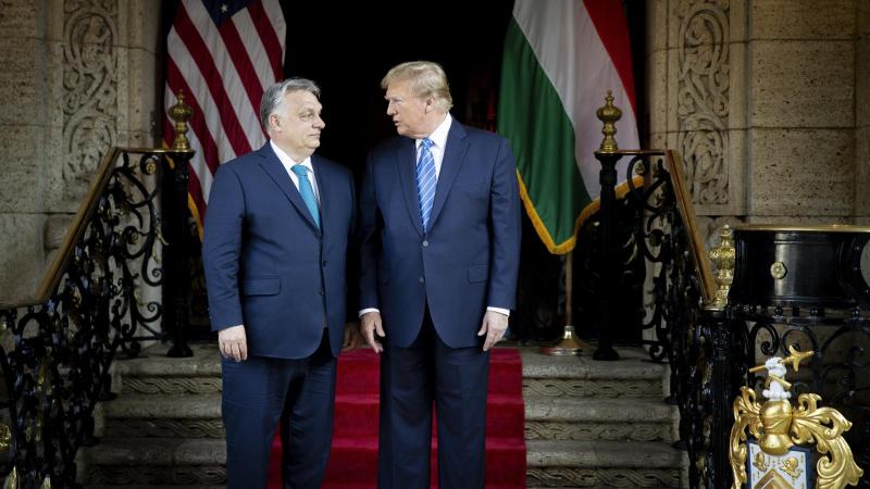 Az orosz energiahordozók importjára vonatkozó szankciók ideiglenes feloldásának lehetősége kerülhet napirendre Donald Trump és Orbán Viktor washingtoni csúcstalálkozóján.